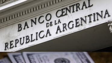 El Banco Central podría comprar hasta 40.000 millones de dólares sin absorber pesos: qué significa esto para la economía argentina