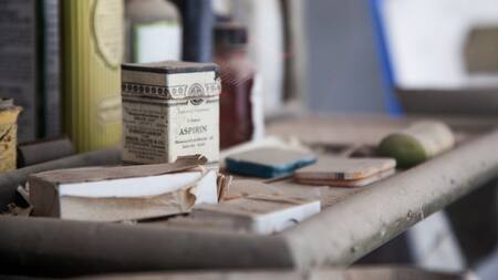 Los desconocidos beneficios de la planta que dio origen a las aspirinas. Foto: Unsplash