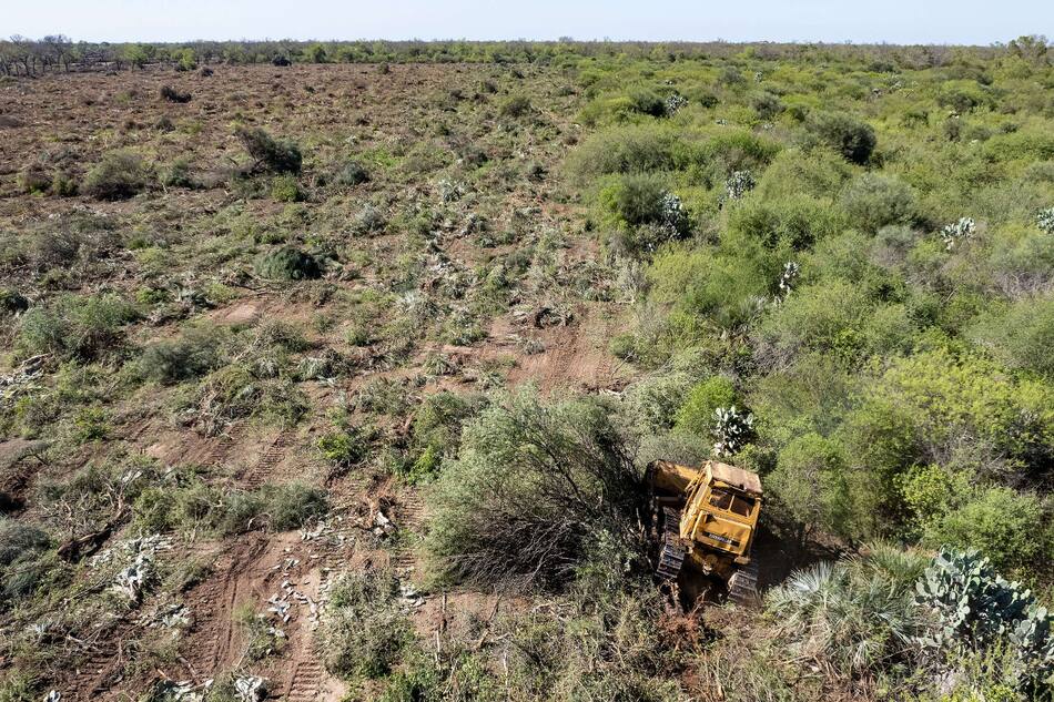 Deforestación y desmonte en Chaco. Foto: Greenpeace.