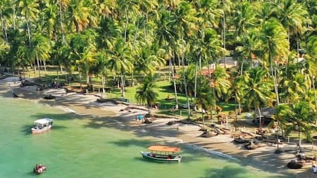 Diarrea viral en Brasil. Foto: X/Grok.