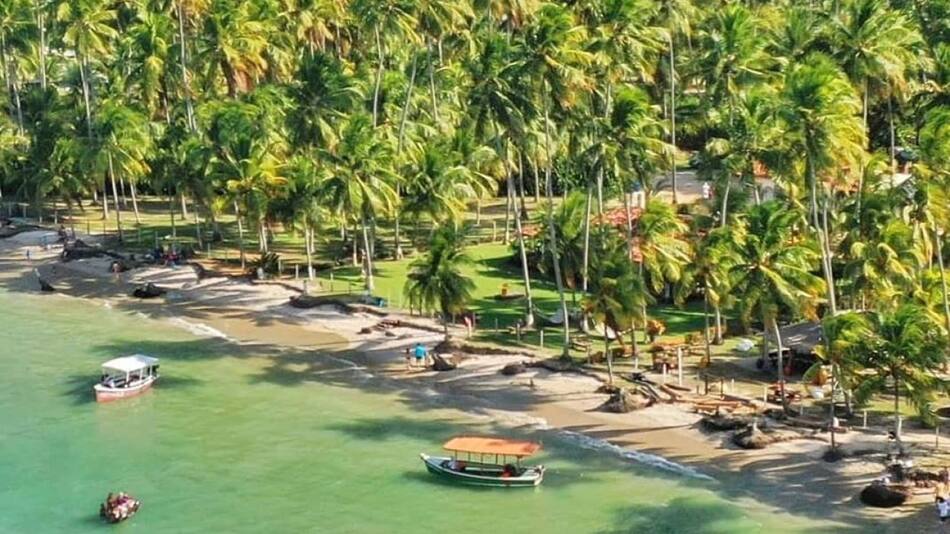 Diarrea viral en Brasil. Foto: X/Grok.