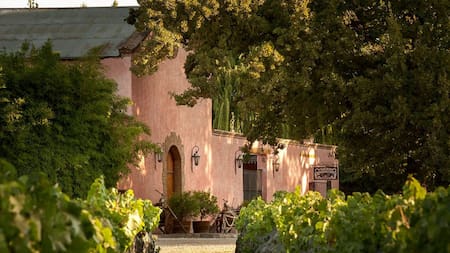 Chacras de Coria, en Mendoza. Foto: Cámara de Turismo de Mendoza.