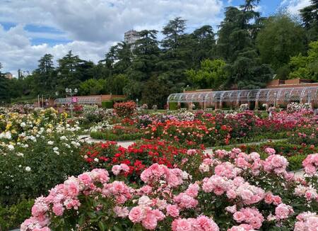Rosedal de Palermo. Foto: X