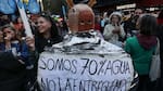 Ley de Glaciares: en la antesala del tratamiento de la reforma hubo protestas en todo el país
