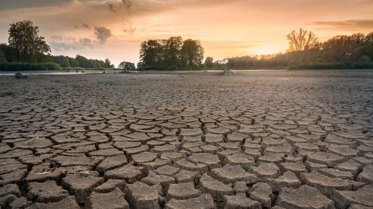El impacto del cambio climático en los cultivos.