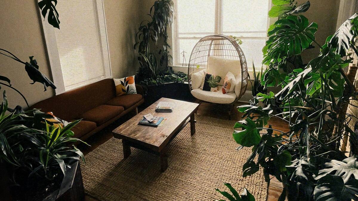 Cinco plantas que atraen la buena energía.