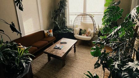 Cinco plantas que atraen la buena energía.