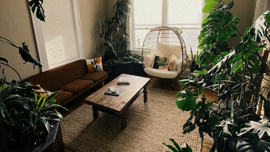 Cinco plantas que atraen la buena energía.