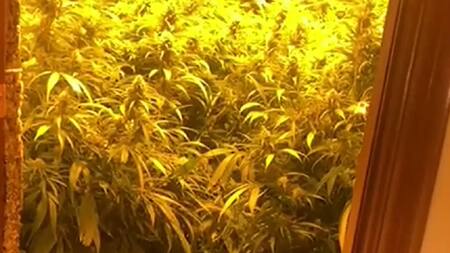 Desarticularon una organización criminal que introdujo 3.388 kilos de cannabis a través del Guadalquivir. Foto: captura video EFE.