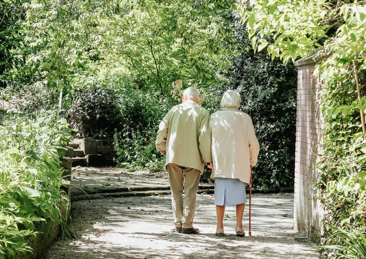 Vivir cerca de zonas verdes frena el envejecimiento. Foto: Unsplash