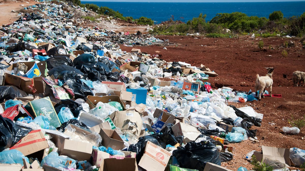 Los estragos de la contaminación de plásticos en el medio ambiente. Foto: Unsplash.