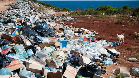 Los estragos de la contaminación de plásticos en el medio ambiente. Foto: Unsplash.