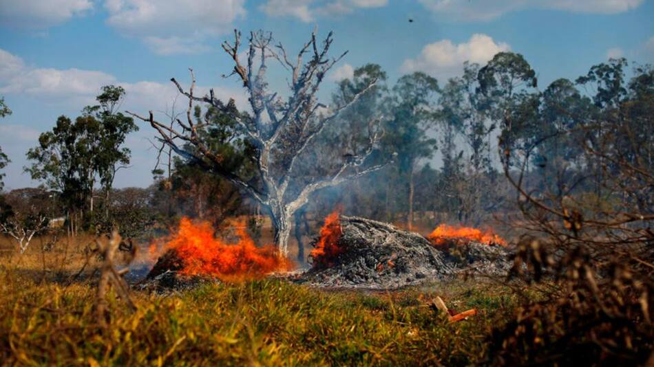 Devastación amazónica. Foto: Reuters