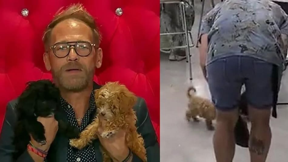 Rodolfo con los perritos. Fotos: captura Telefe.