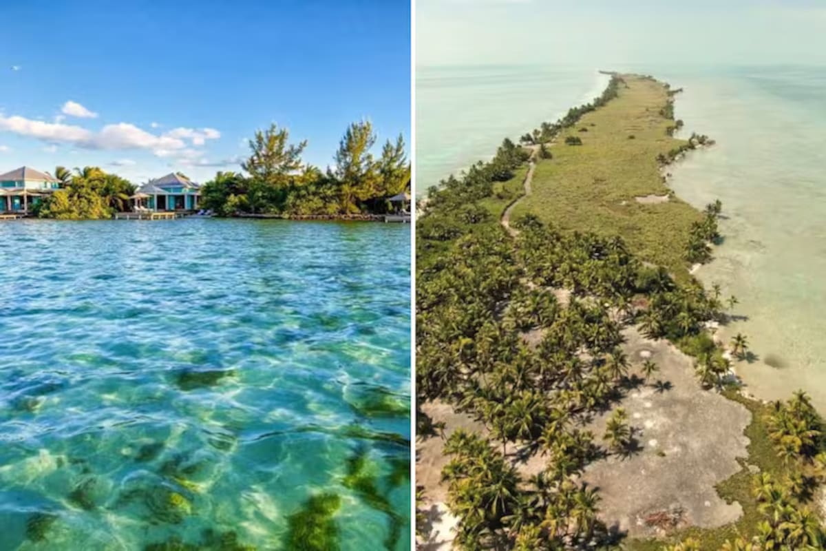 Isla de DiCaprio