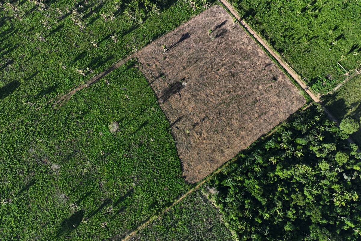Amazonia. Foto: REUTERS.