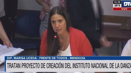 Avance de la Ley Nacional de Danza en la Comisión de Cultura de la Cámara de Diputados. Foto: Captura de video.
