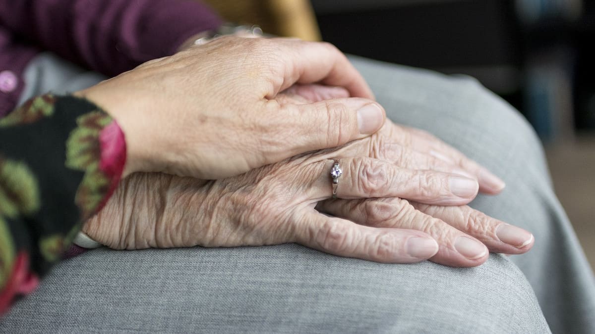El Día de la Abuela se festeja cada segundo domingo de noviembre. Foto: Pexels.