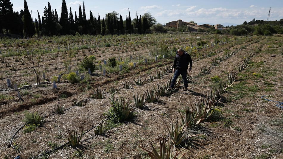 Sequía en Francia. Foto: EFE