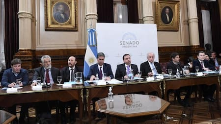 Debate en el Senado del Presupuesto 2023. Foto: NA.