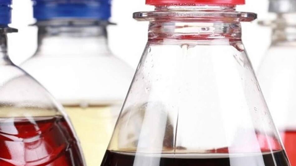 bebidas azucaradas