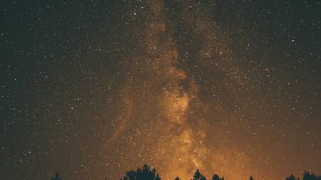 Un país de Europa tiene árboles que acumulan partículas de oro: el inédito hallazgo que podría cambiar la microbiología