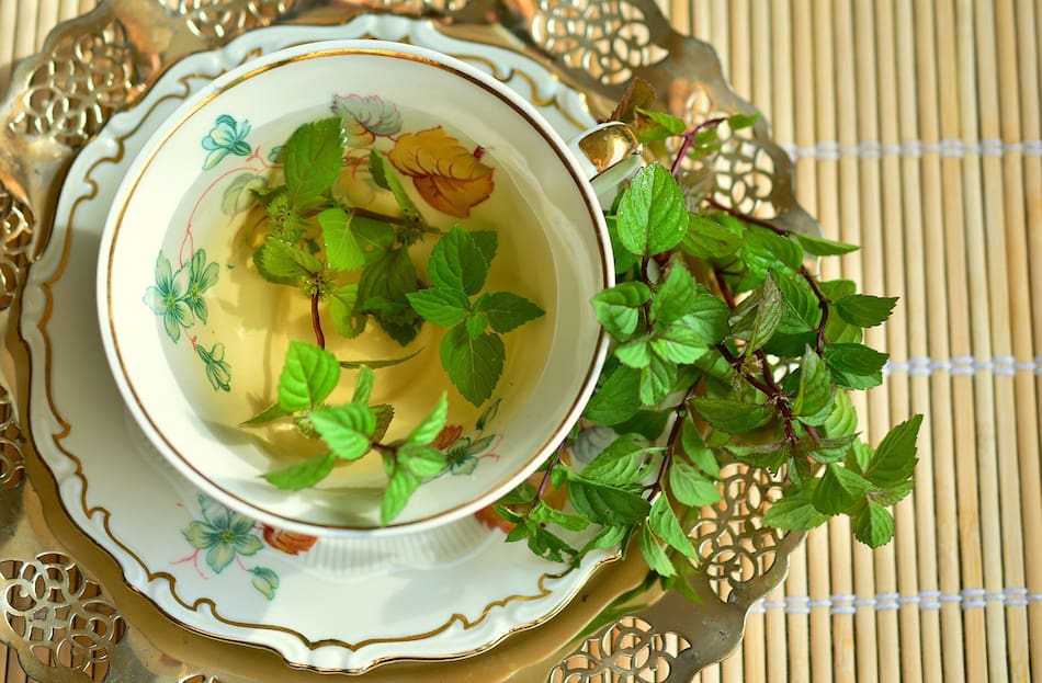Hierbas medicinales. Foto: Pixabay.