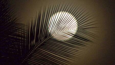 Luna Llena. Foto: Unsplash.