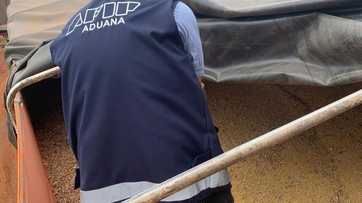Aduana secuestró soja dañada de contrabando a Brasil