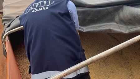 Aduana secuestró soja dañada de contrabando a Brasil