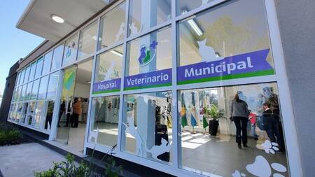 Hospital veterinario de General Rodríguez. Foto: Twitter @SenasaAR