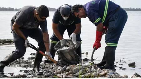 Se llevaron a cabo distintas jornadas para la limpieza de la costanera. Foto Municipalidad de Chascomús.