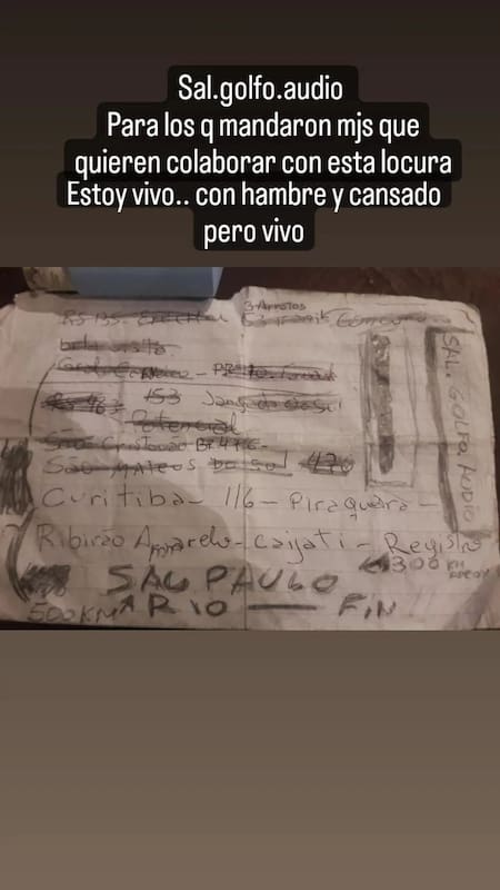 El pedido de ayuda. Foto: Instagram.