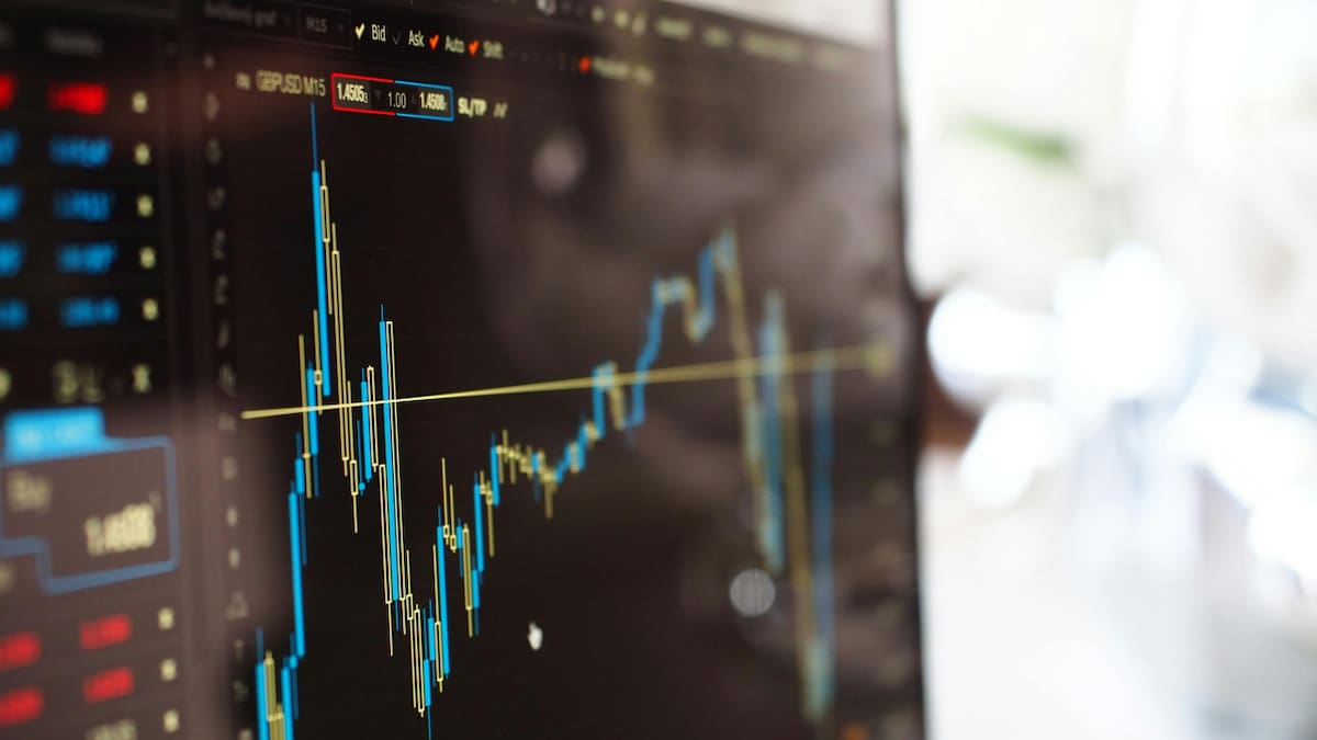 Las acciones de Universal Group cayeron casi un 30%. Foto: Pexels.