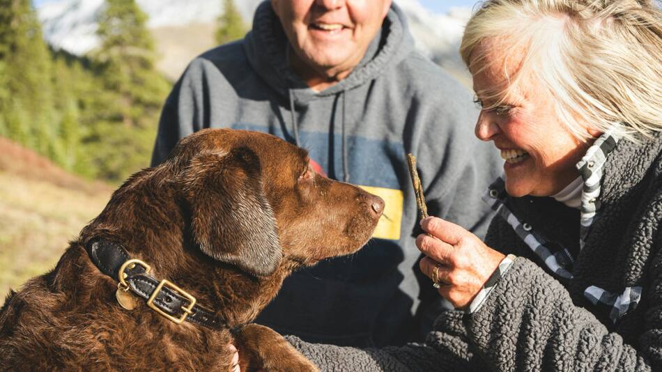 Mascotas y adultos mayores. Foto: Unsplash.