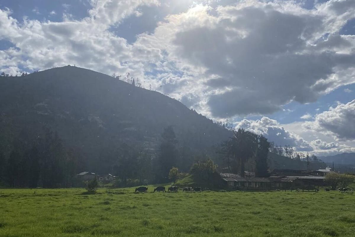 La convocatoria está dirigida a mayores de 18 años e incluye alojamiento en habitación privada en una granja familiar de Cuenca, donde los participantes colaborarán en tareas rurales y proyectos comunitarios con niños de la zona.