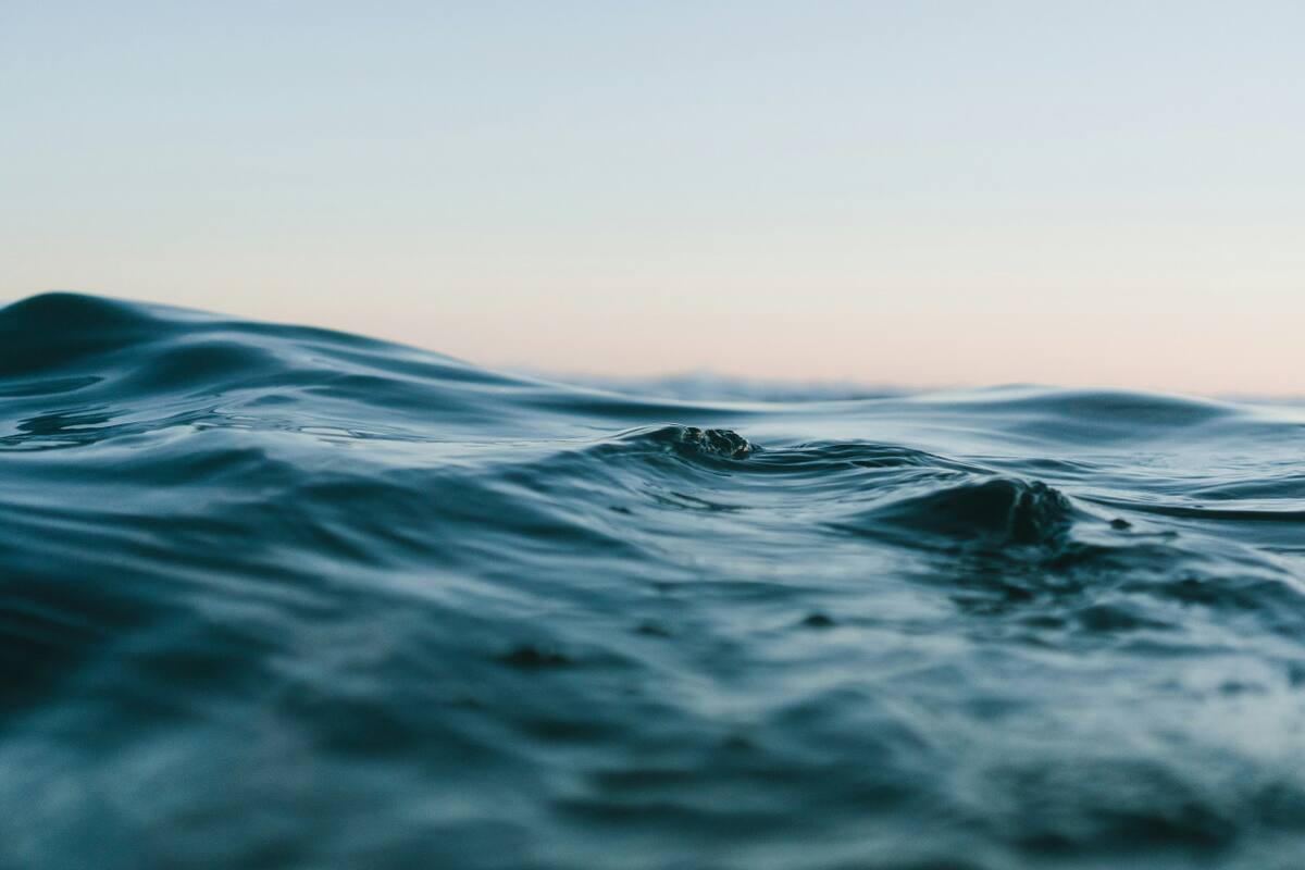 Agua. Foto: Unsplash.