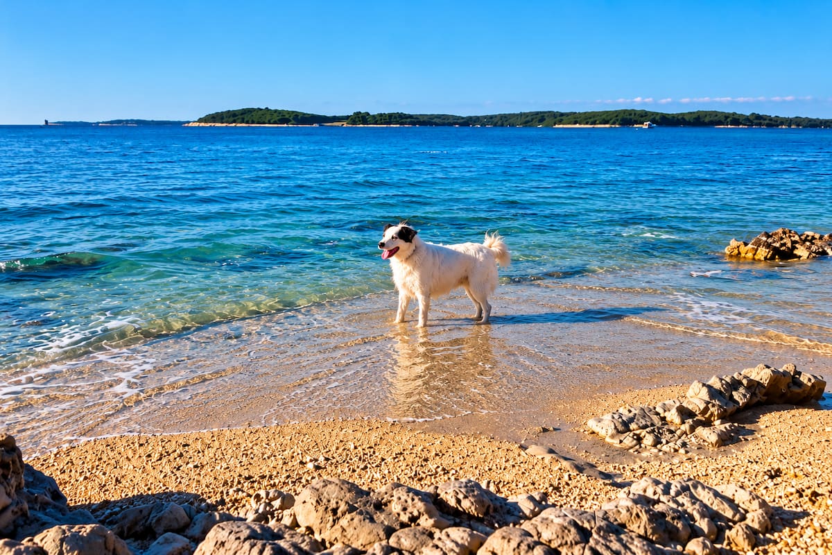 Playa para perros en Fažana, Croacia.