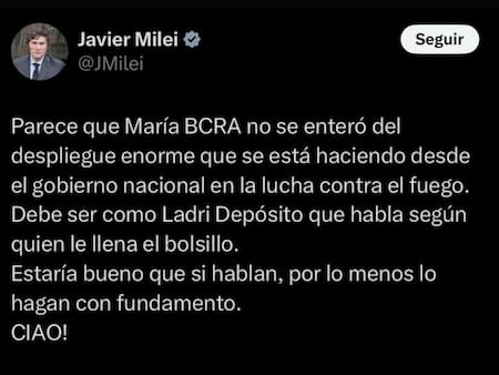 Javier Milei cuestionó a María Becerra. Foto: Captura.