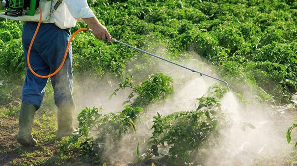 Agroquímicos: regulan aplicación para cumplir normas ambientales internacionales