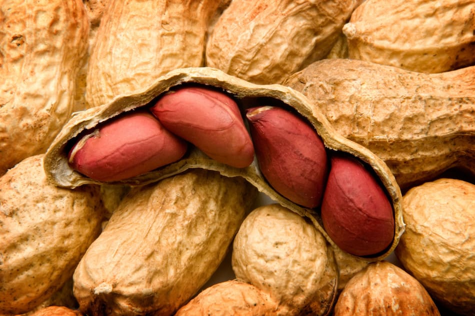 Maní con cascara. Foto: Reuters, Alamy