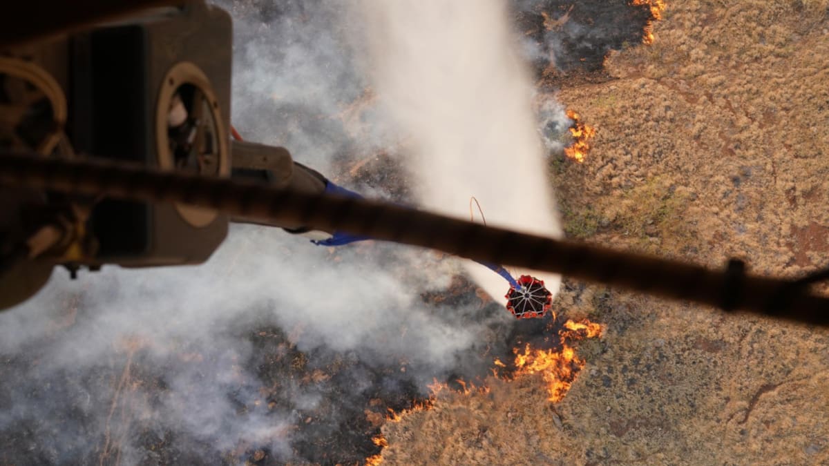 Incendios forestales en Hawai. Foto: EFE