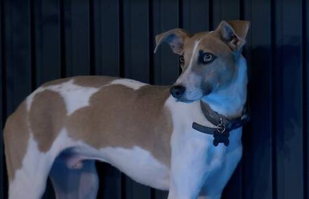 Arturo de Gran Hermano. Foto: Captura.