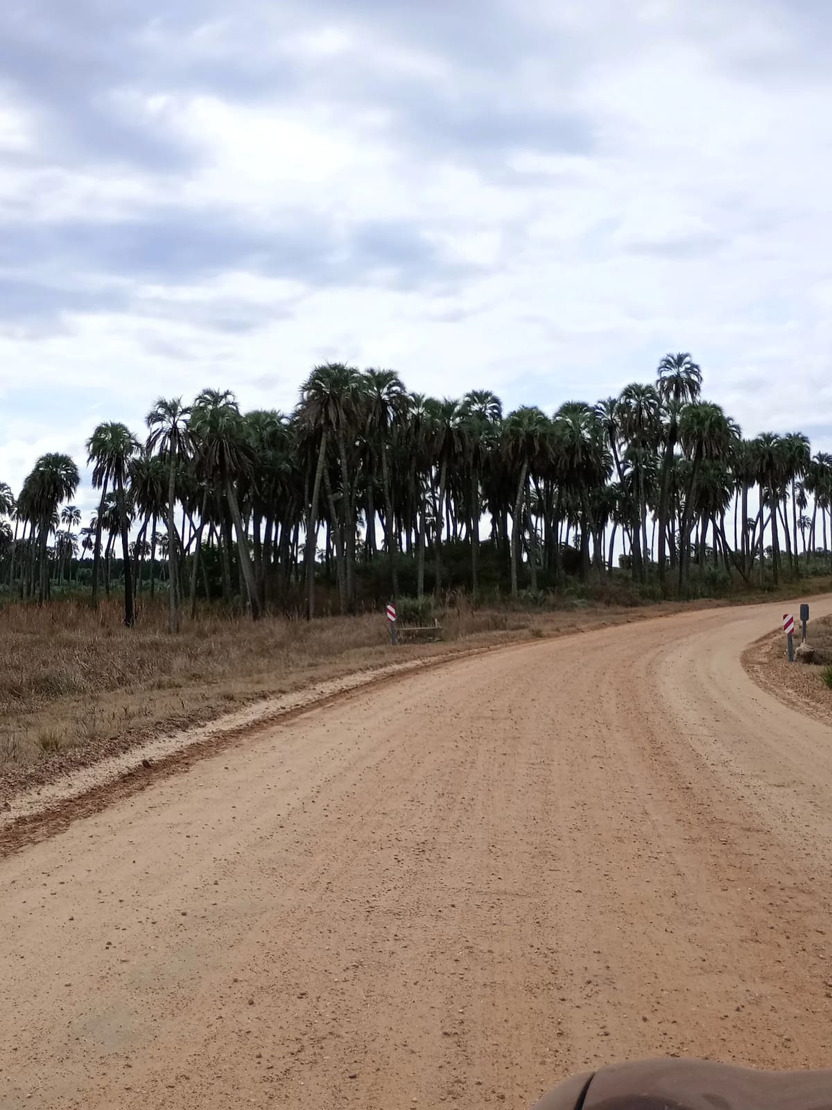 Parque nacional El Palmar