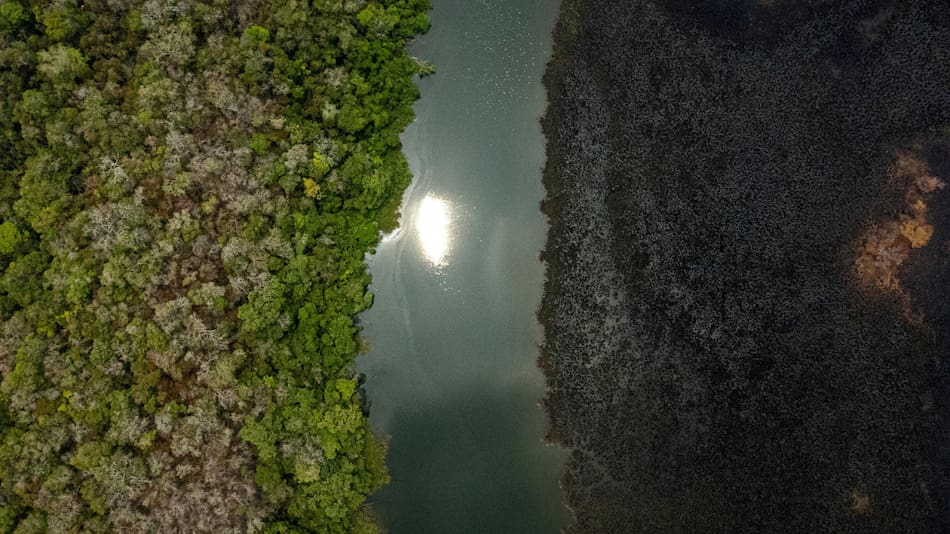 Fotografía aérea impactante donde se observa un humedal afectado por los incendios. Foto EFE.