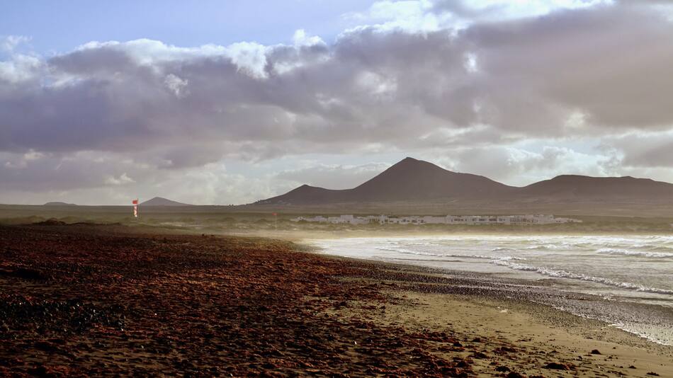 Algas. Foto: Unsplash