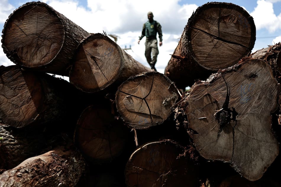 Deforestación en el Amazonas. Foto: Reuters