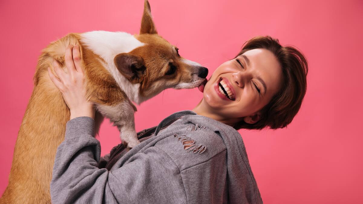 El verdadero motivo detrás de los “besos” de los perros.