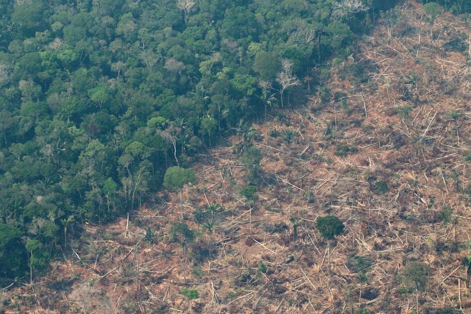 Deforestación en el Amazonia. Foto: EFE