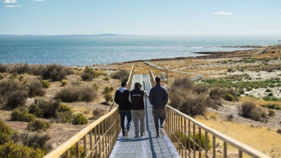 Un estudio del CONICET y la UBA muestra cuántas hectáreas de Argentina están en manos extranjeras. Foto: Argentina La Ruta Natural.